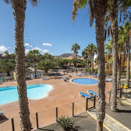 Lightbooking Oasis Royal Corralejo F311 Esterno foto