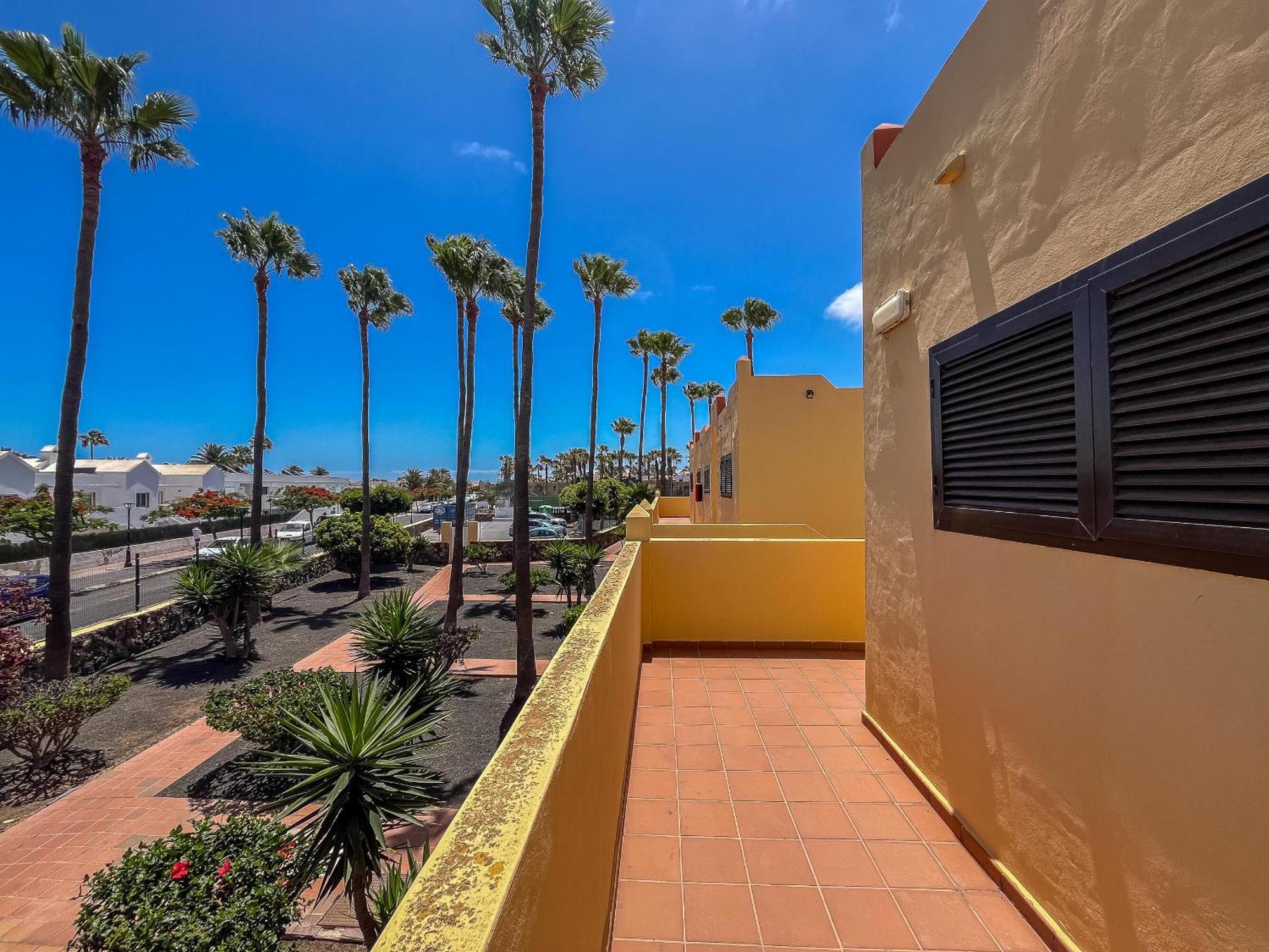 Lightbooking Oasis Royal Corralejo F311 Esterno foto